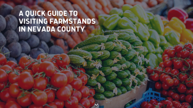 A Quick Guide to Visiting Farmstands in Nevada County - Sierra ...